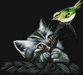 Kitten Cross Stitch Pattern (PDF + XSD)