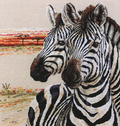 Zebras Cross Stitch Pattern (PDF + XSD)
