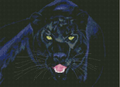 Panther Cross Stitch Pattern (PDF + XSD)