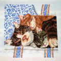 Kittens Cross Stitch Pattern (PDF + XSD)
