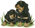 Puppies Cross Stitch Pattern (PDF + XSD)