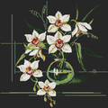 Orchids Cross Stitch Pattern (PDF + XSD)