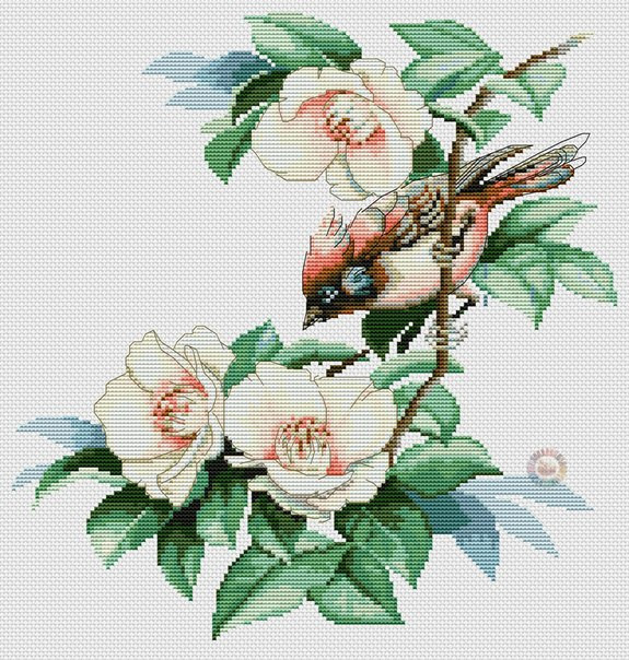 Magic Bird Cross Stitch Pattern (PDF + XSD)