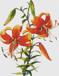 Tiger Lily Cross Stitch Pattern (PDF + XSD)