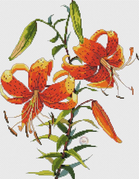 Tiger Lily Cross Stitch Pattern (PDF + XSD)
