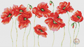 Wild Poppies Cross Stitch Pattern (PDF + XSD)