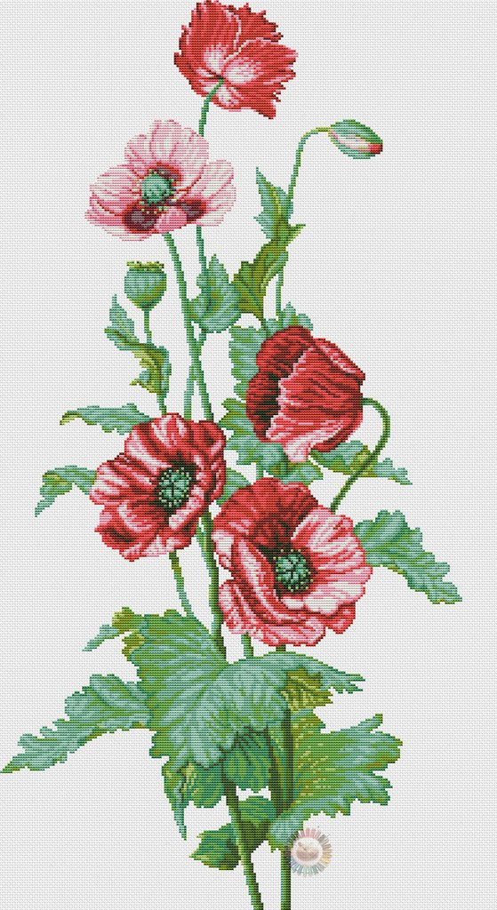 Blooming Poppies Cross Stitch Pattern (PDF + XSD)
