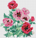 Dancing Poppies Cross Stitch Pattern (PDF + XSD)