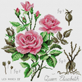Simple Roses Cross Stitch Pattern (PDF + XSD)