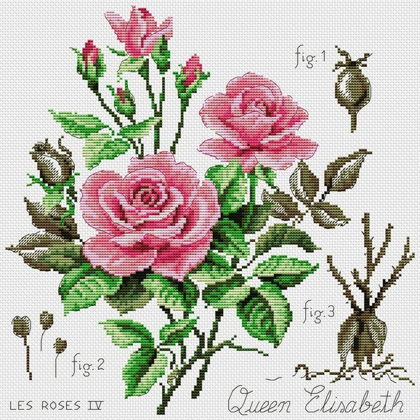 Simple Roses Cross Stitch Pattern (PDF + XSD)