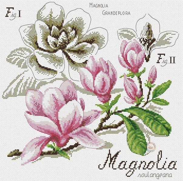 Magnolia Cross Stitch Pattern (PDF + XSD)