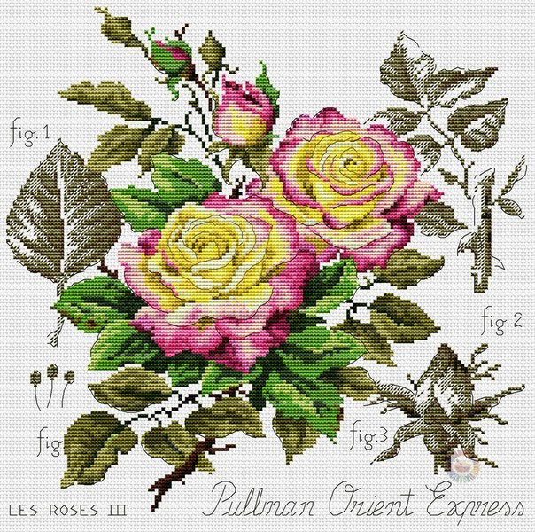 Classic Roses Cross Stitch Pattern (PDF + XSD)