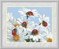 White Chamomile Cross Stitch Pattern (PDF + XSD)