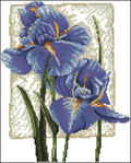 Blue Irises Cross Stitch Pattern (PDF + XSD)