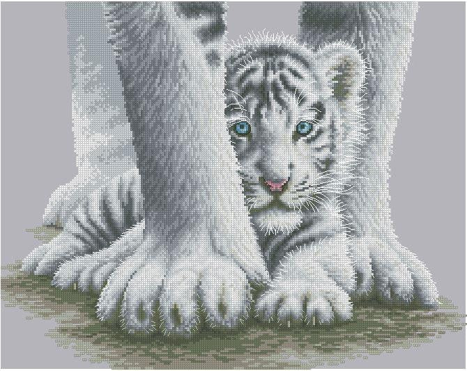 Protected Cross Stitch Pattern (PDF + XSD)
