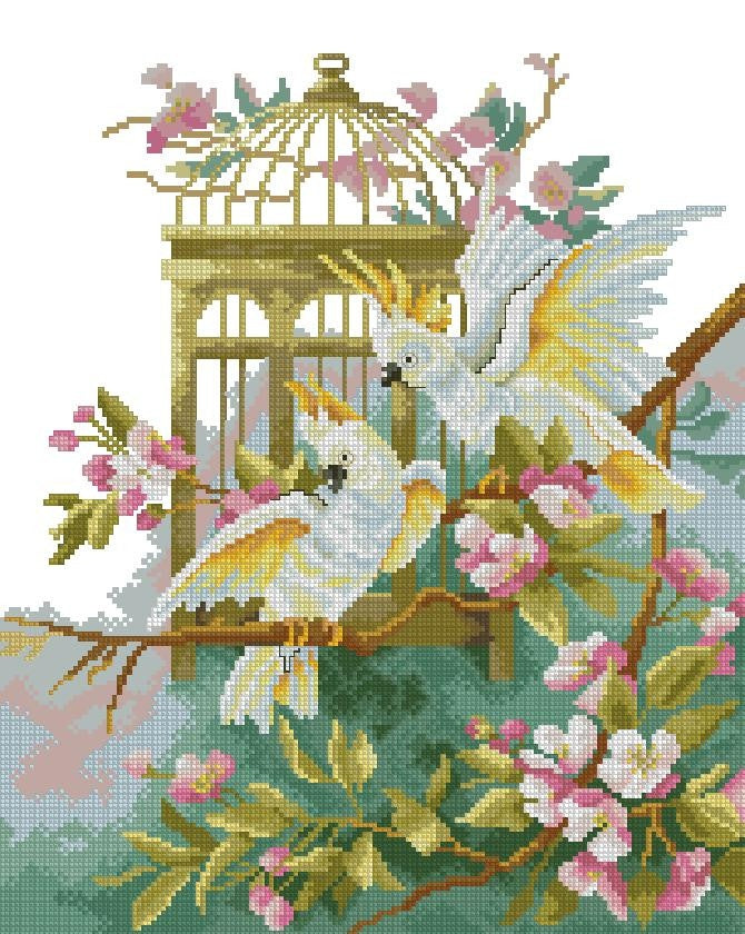 Parrots Cross Stitch Pattern (PDF + XSD)