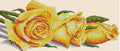 Yellow Roses Cross Stitch Pattern (PDF + XSD)