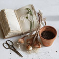 Warm memories. Garden notebook Cross Stitch Pattern (PDF + XSD)