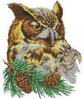 Owl Cross Stitch Pattern (PDF + XSD)