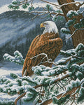 Eagle Cross Stitch Pattern (PDF + XSD)