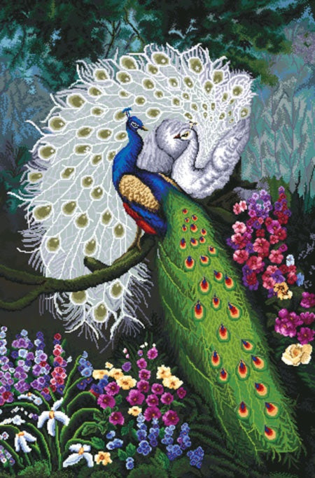 Peacock Cross Stitch Pattern (PDF + XSD)