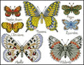 Collection of beautiful butterflies Cross Stitch Pattern (PDF + XSD)