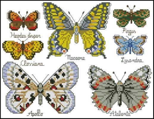 Collection of beautiful butterflies Cross Stitch Pattern (PDF + XSD)