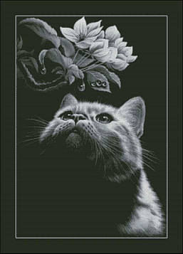 Cat with magnolia — Cross Stitch Pattern (PDF + XSD)
