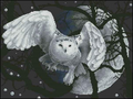 White owl — Cross Stitch Pattern (PDF + XSD)
