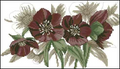 Flowers of the fields Cross Stitch Pattern (PDF + XSD)