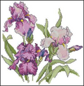 Irises Cross Stitch Pattern (PDF + XSD)