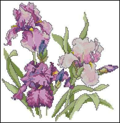 Irises Cross Stitch Pattern (PDF + XSD)