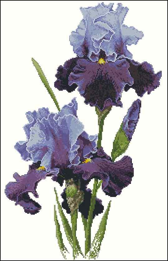 Bouquet of irises Cross Stitch Pattern (PDF + XSD)