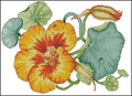 Dew drops Cross Stitch Pattern (PDF + XSD)