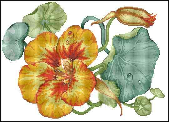 Dew drops Cross Stitch Pattern (PDF + XSD)