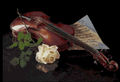 Violin with a White Rose Cross Stitch Pattern (PDF + XSD)