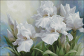 White Irises Cross Stitch Pattern (PDF + XSD)
