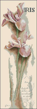 Iris Cross Stitch Pattern (PDF + XSD)