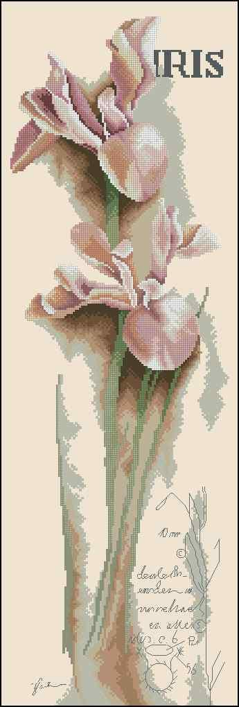 Iris Cross Stitch Pattern (PDF + XSD)