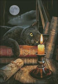 Magical night Cross Stitch Pattern (PDF + XSD)
