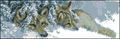 Wolves in the snow— Cross Stitch Pattern (PDF + XSD)