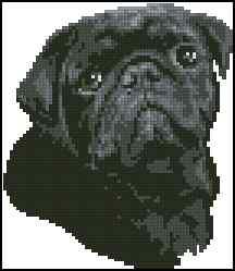 Black dog— Cross Stitch Pattern (PDF + XSD)