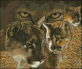 The view of the cougar— Cross Stitch Pattern (PDF + XSD)