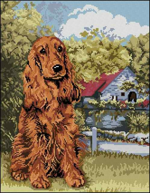 Spaniel- Cross Stitch Pattern (PDF + XSD)
