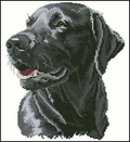 Chester- Cross Stitch Pattern (PDF + XSD)