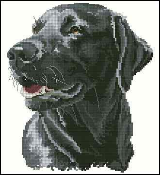 Chester- Cross Stitch Pattern (PDF + XSD)