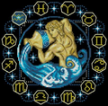 Zodiac-Aquarius Cross Stitch Pattern (PDF + XSD)