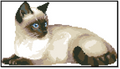 Cat Cross Stitch Pattern (PDF + XSD)