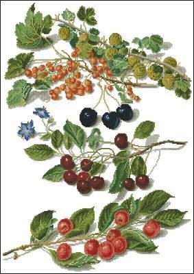 Grapes Cross Stitch Pattern (PDF + XSD) - Cross Stitch Pattern - LOSKUTOK