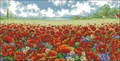 Summer Poppy Meadow Cross Stitch Pattern (PDF + XSD)